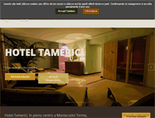 Tablet Screenshot of hoteltamerici.it